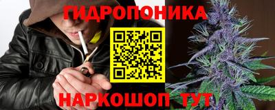 кокс Обь