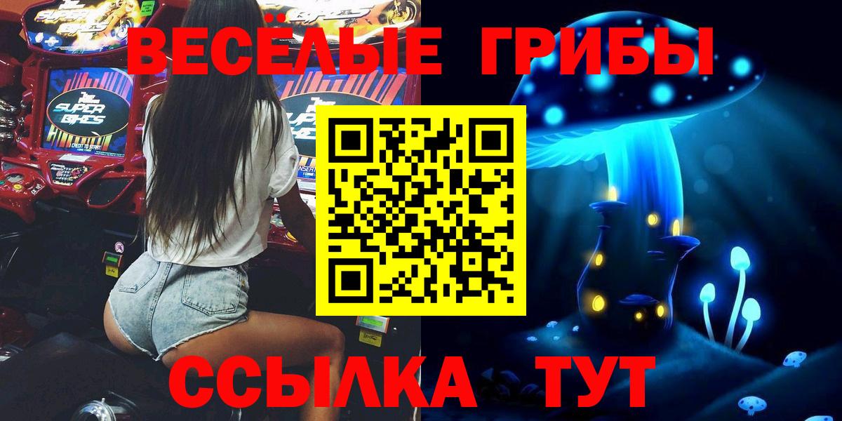Галлюциногенные грибы Psilocybine cubensis  Псилоцибиновые грибы прущие грибы  Вход с VPN  Приморско-Ахтарск 